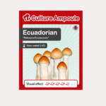 Ecuadorian - Culture Ampoule Set