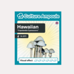 Hawaiian - Culture Ampoule Set