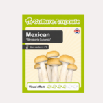 Mexican - Culture Ampoule Set