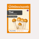 Thai - Culture Ampoule Set