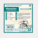 Hawaiian Growkit - 1200 cc (Psilocybe Copelandia)
